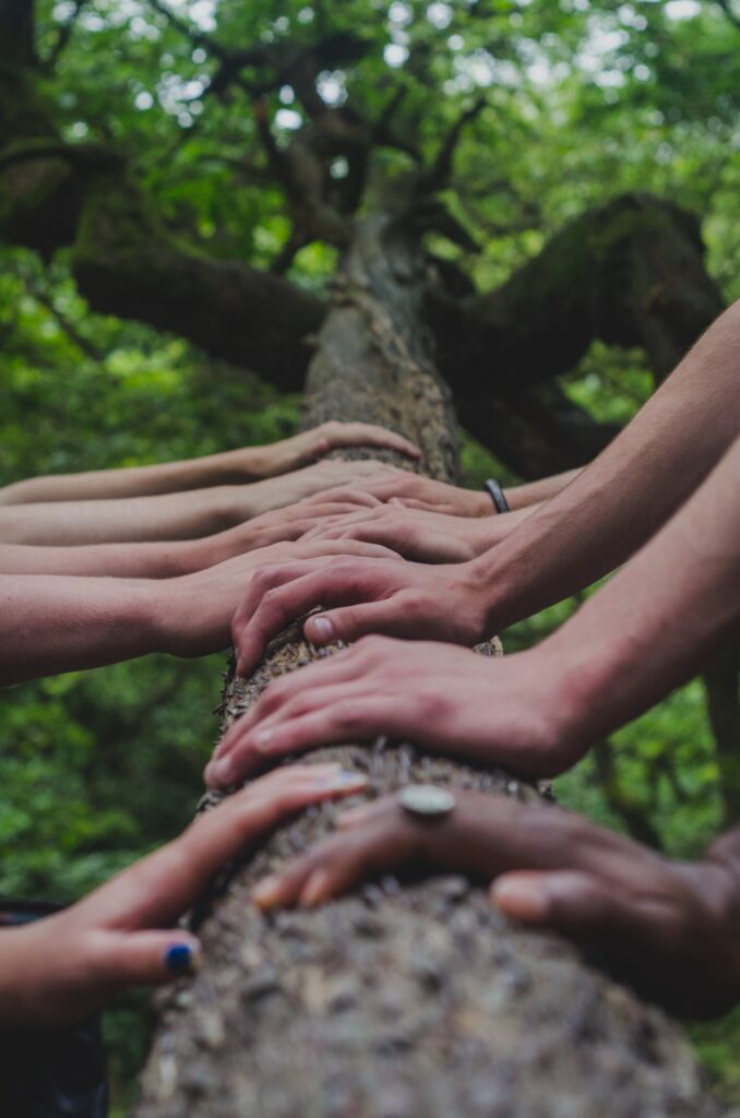 personnes posant leurs mains en contact avec un arbre